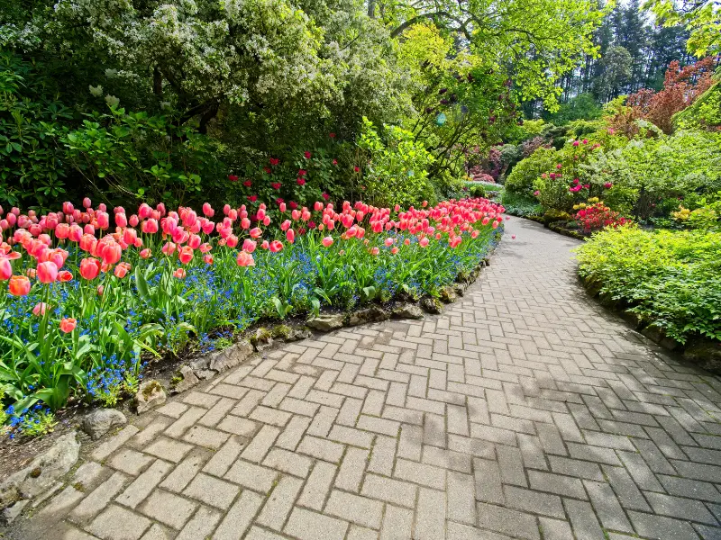landscape design tips Oregon