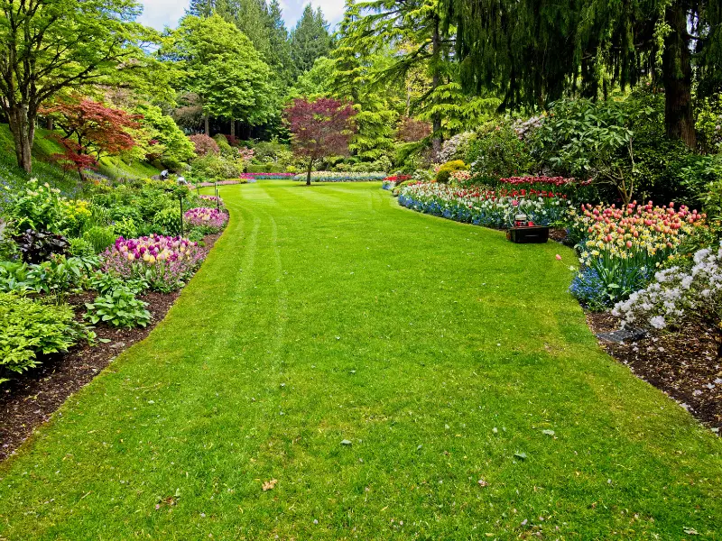 Landscaping Lake Oswego