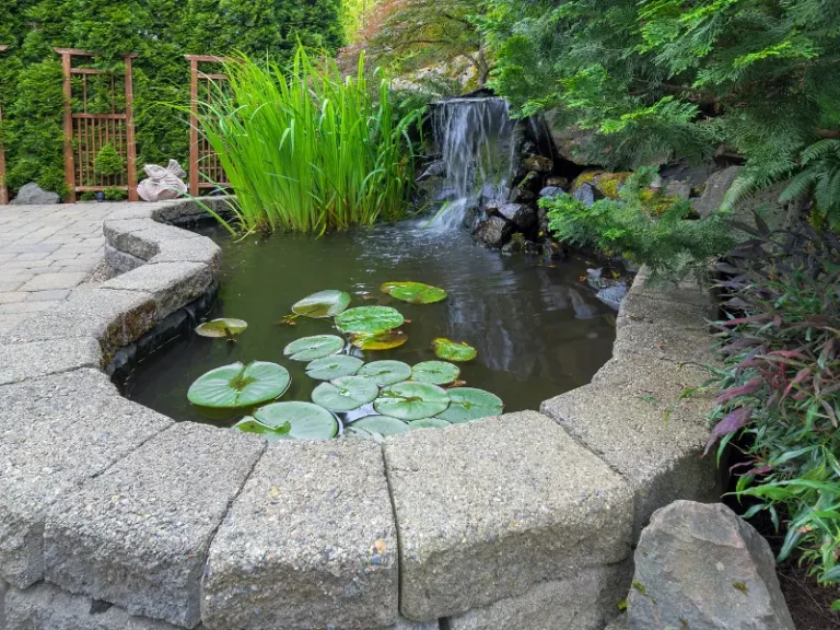 Landscape Design