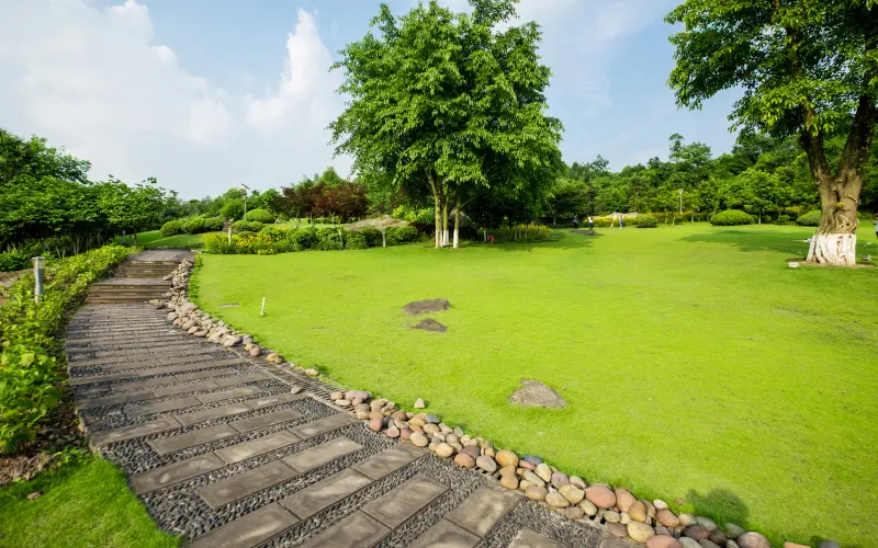 Landscape Design