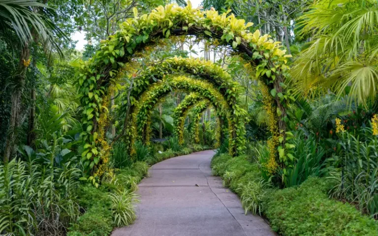 Best Landscape Maintenance Company