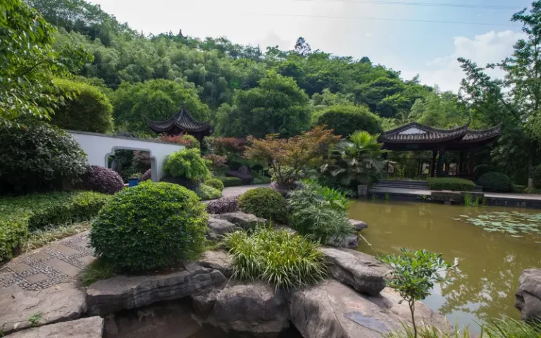 Landscape Design