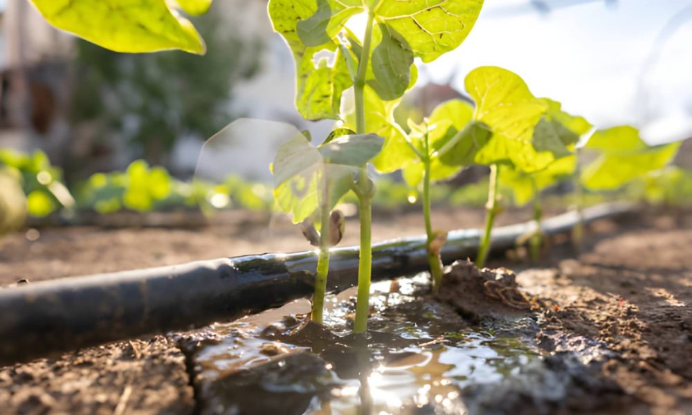 drip irrigation contractors Portland OR