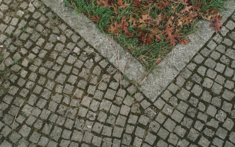 egor-myznik-nVBtNTBlz2s-unsplash