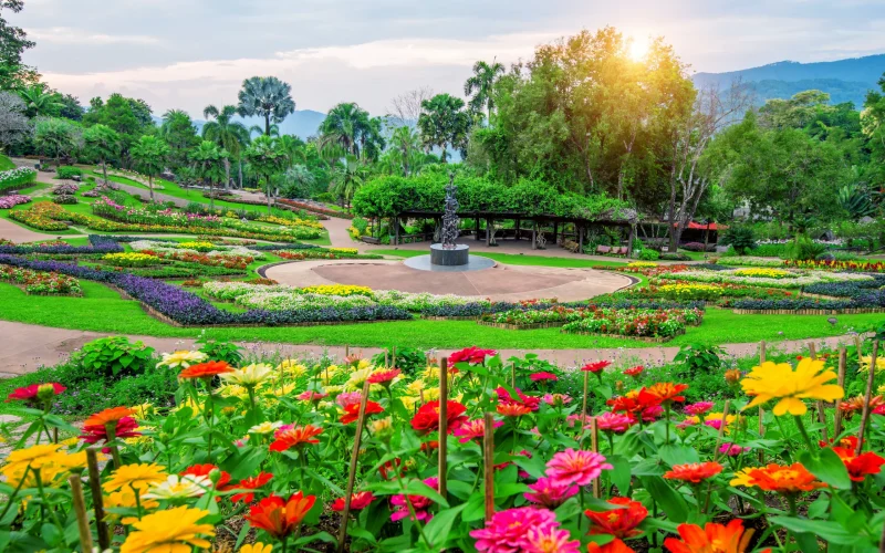 garden-flowers-mae-fah-luang-garden-locate-doi-tung-chiang-rai-thailand