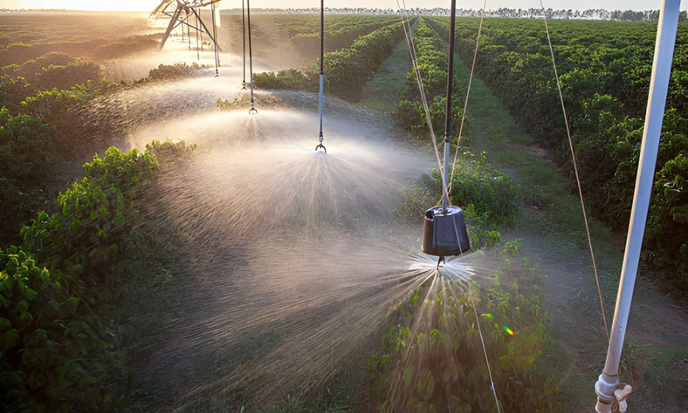 irrigation installation Wilsonville OR