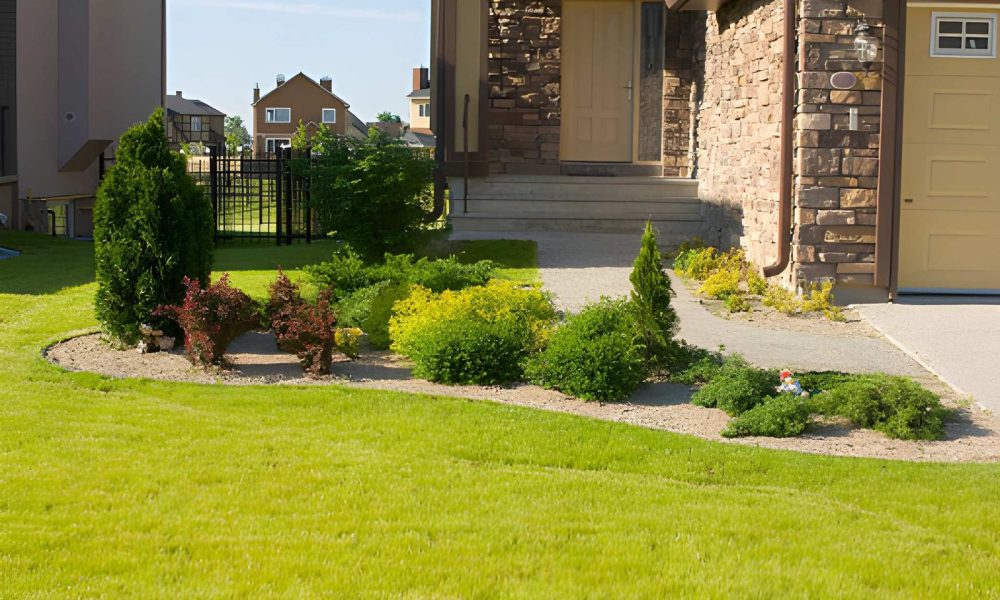 landscape design and build