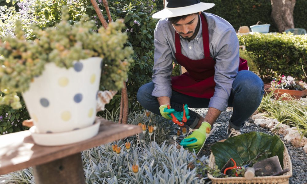 male-gardener-cutting-harvested-flower-garden