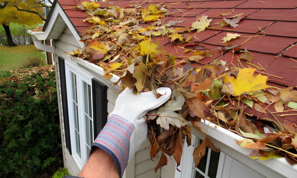 how much does fall yard cleanup cost