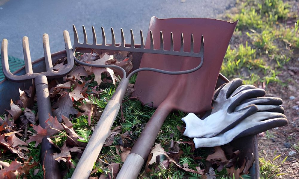 spring landscape cleanup Clackamas County